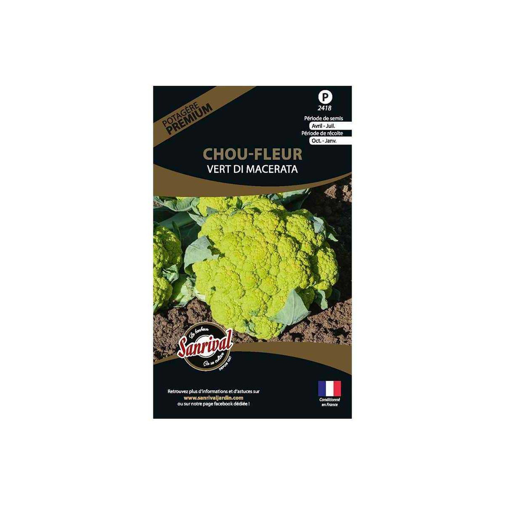 Graines potagères premium chou chou fleur vert di macerata