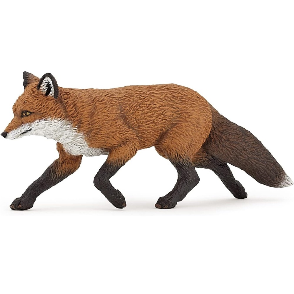 Renard Papo