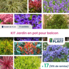 Kit jardin en pot pour balcon - 11 variétés - lot de 17 godets