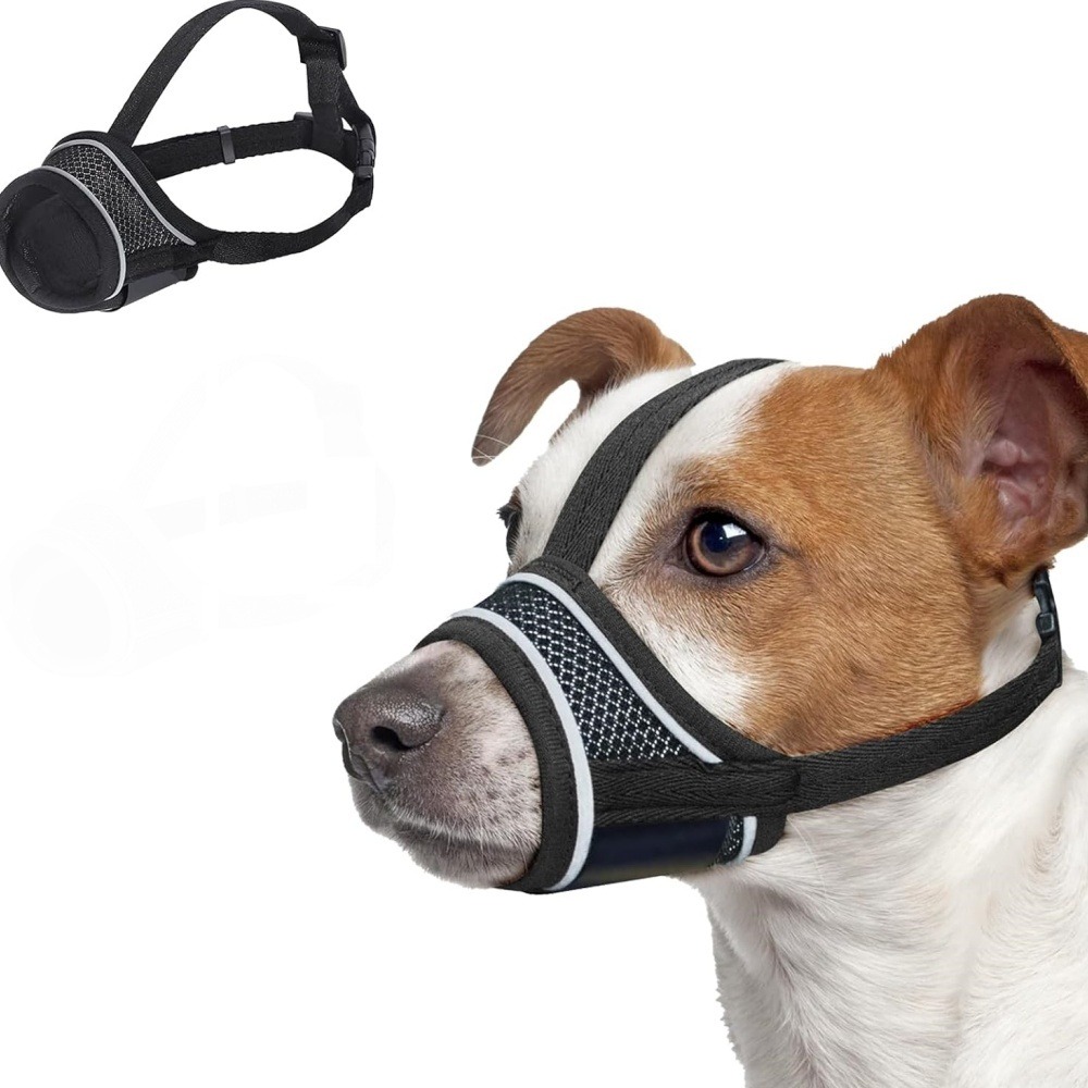 Muselière pour chien