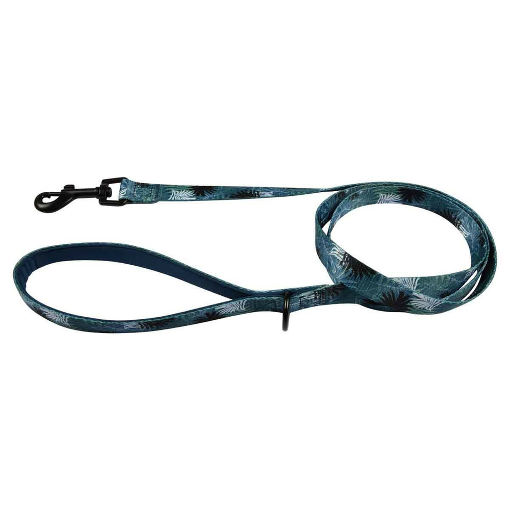 Laisse pour chien avec poignée 