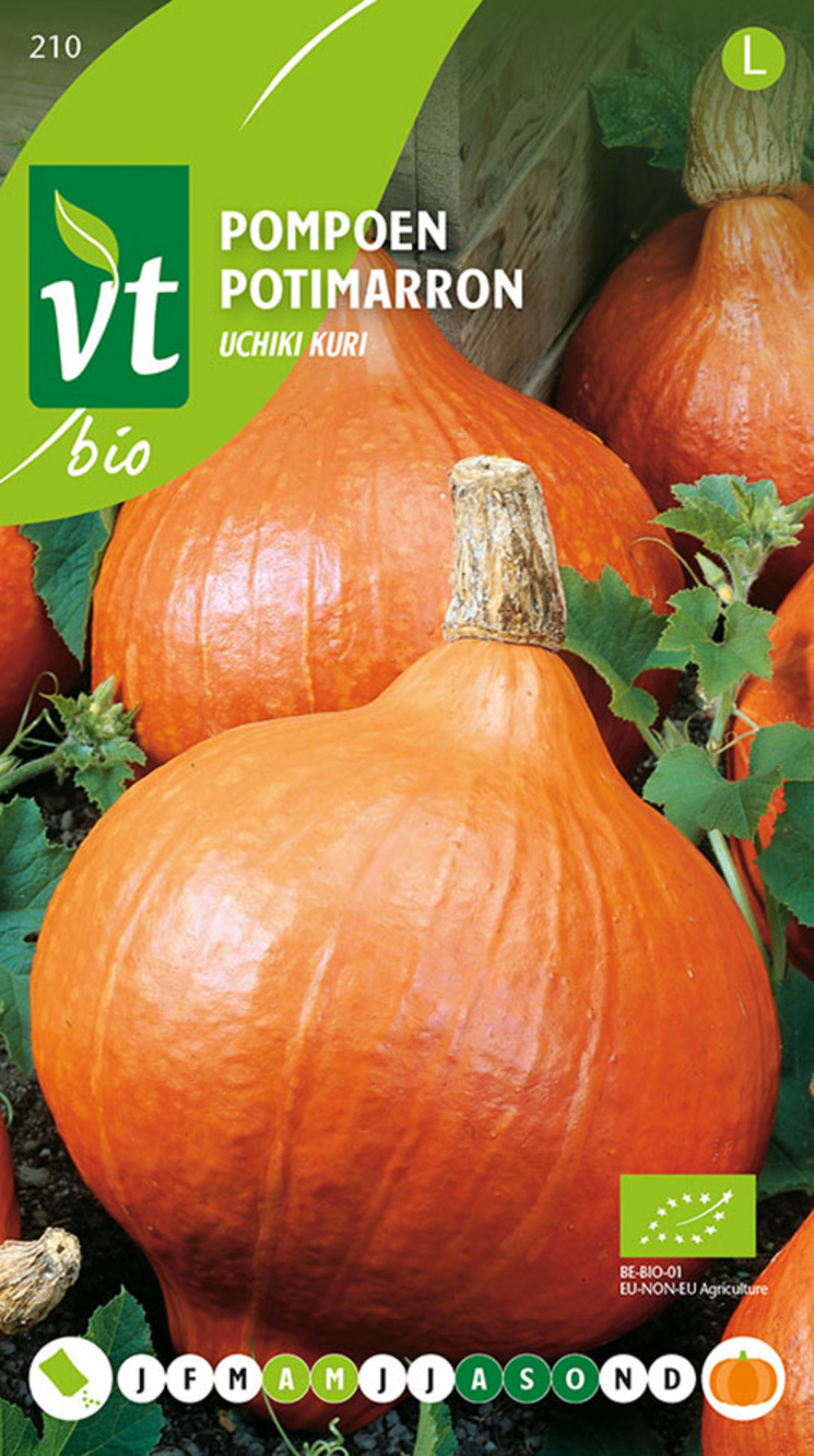 Bio potimarron uchiki kuri - ca. 2 gr (livraison gratuite)