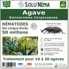 Agave - 50 millions nématodes steinernema carpocapsae (sc)