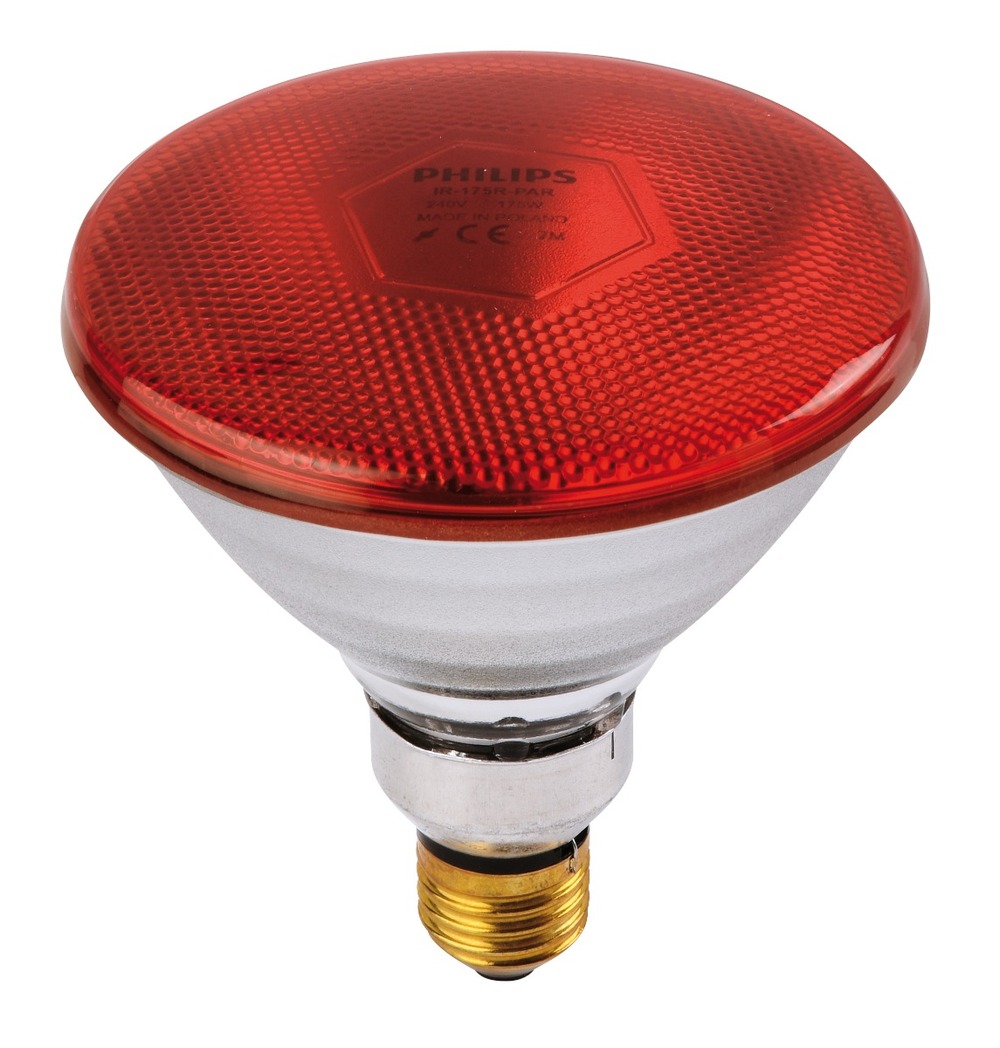 Ampoule philips ir/par rouge 100w