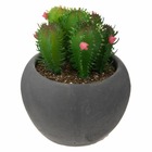 Plante artificielle cactus en pot