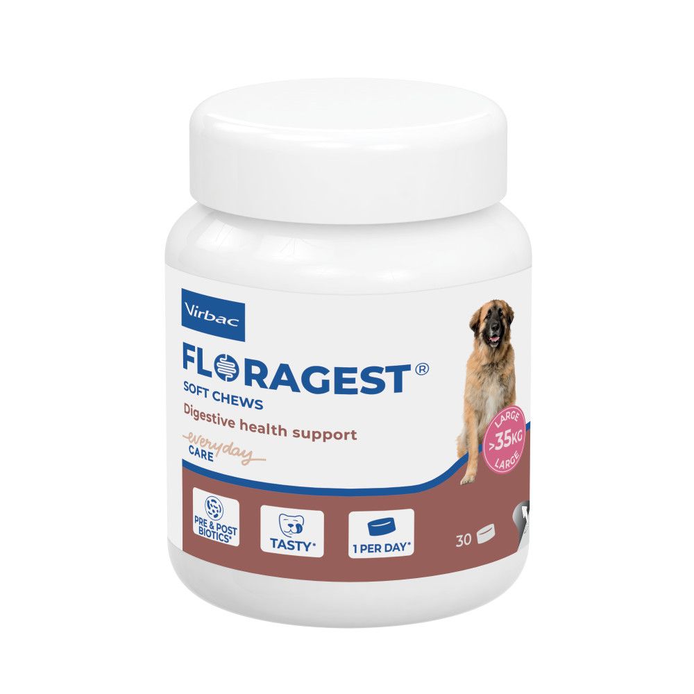 Floragest virbac - complément digestif pour chien s, m et l l