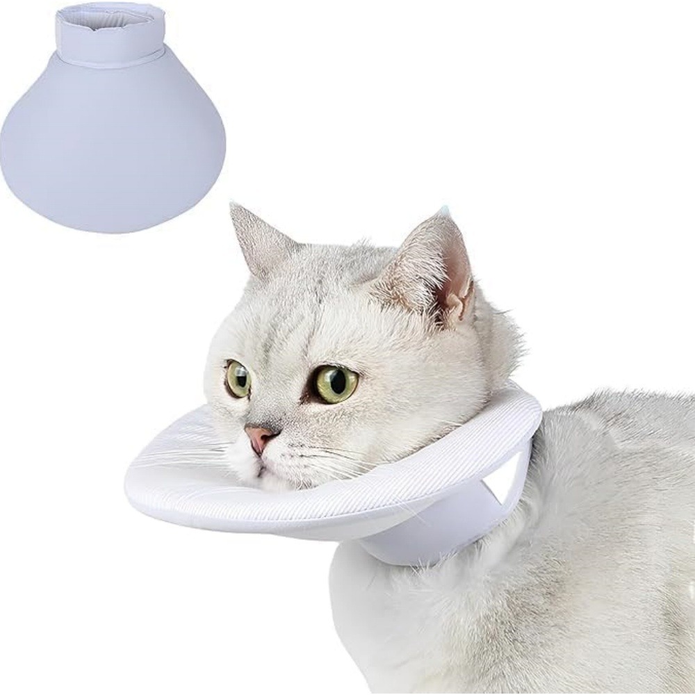 Collier de convalescence pour chat