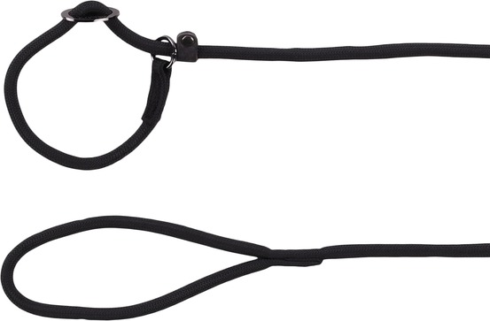 Laisse anti-traction aiden