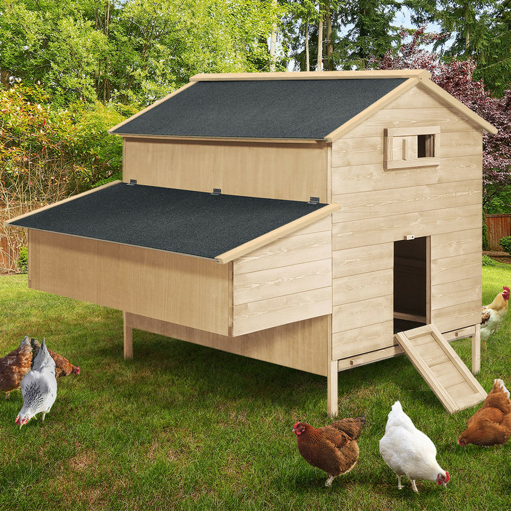Poulailler chalet xxl pour poules avec pondoir en bois