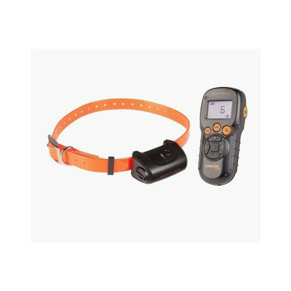 Numaxes ensemble de dressage canicom 5.202 avec une portee de 200 m - pour 1 ou 2 chiens