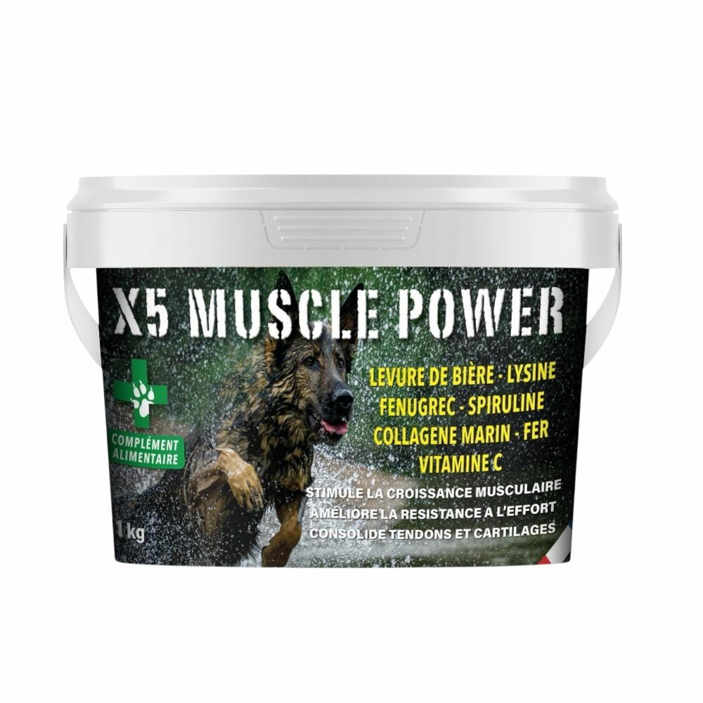 Complement alimentaire x5 muscle power – 1kg – poudre soutien et recuperation musculaire – france croquettes