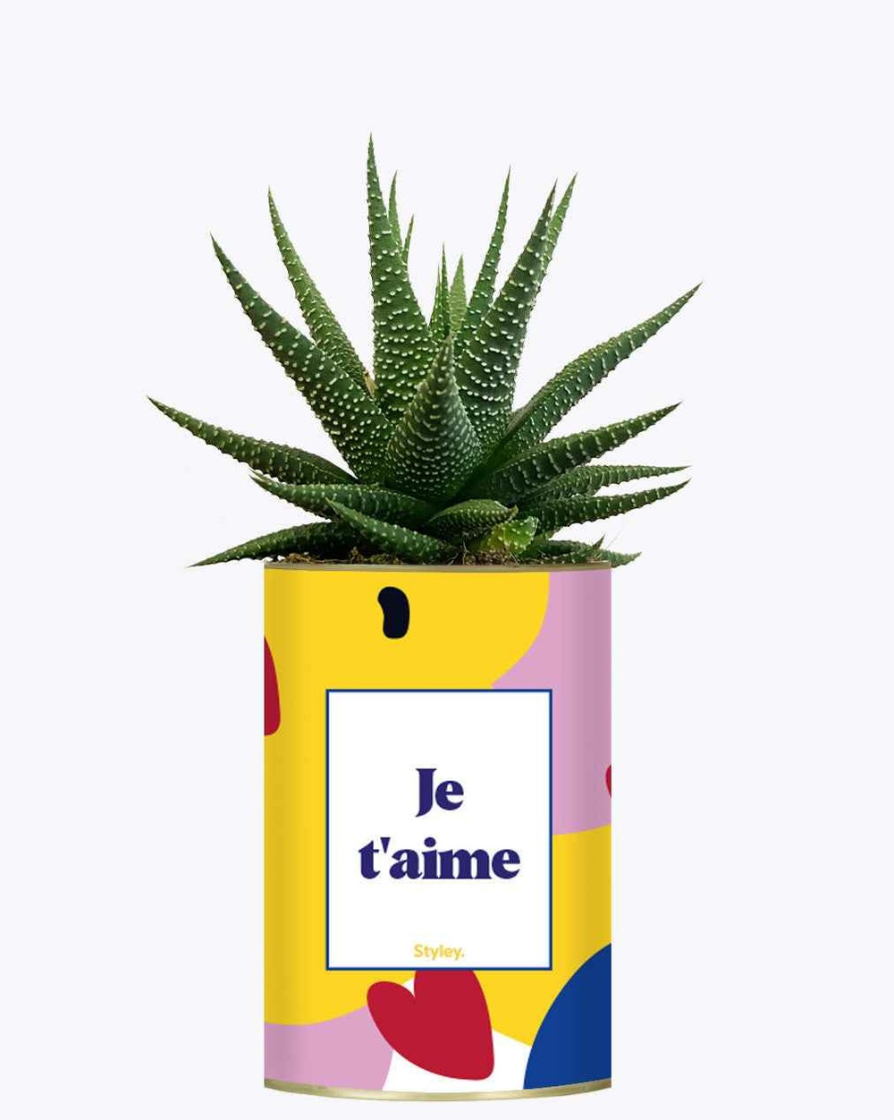 Idée cadeau - je t'aime - cactus