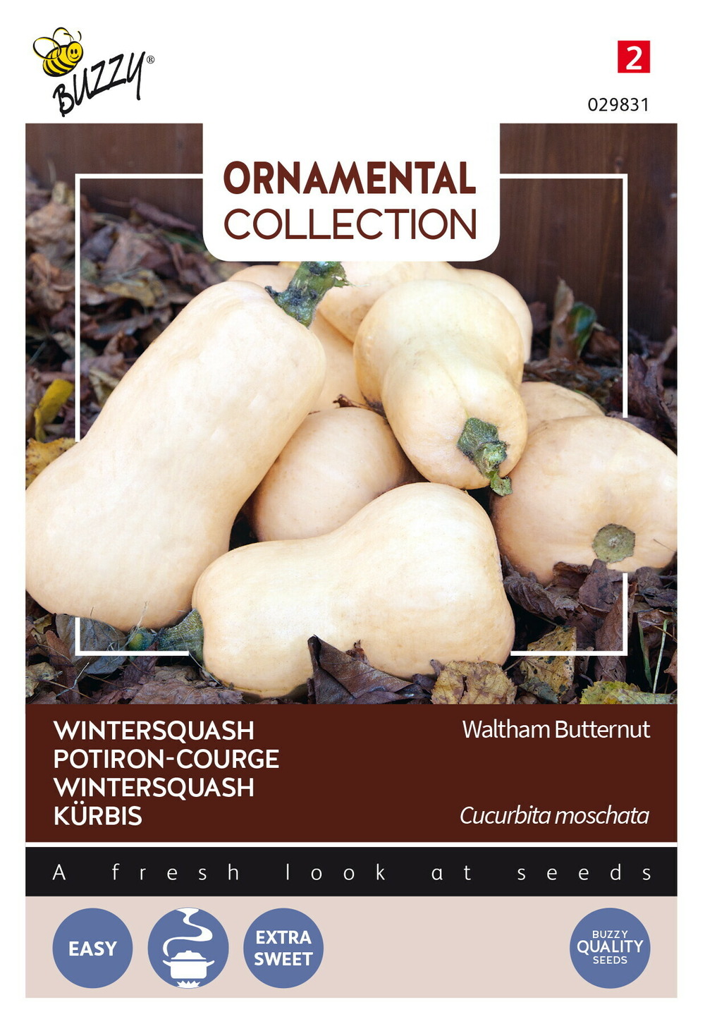 Buzzy ornamental potiron-courge waltham butternut - ca. 1,5 gr (livraison gratuite)