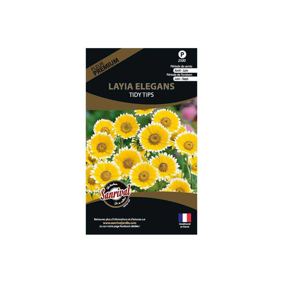 Graines de fleurs premium layia elegans platyglossa