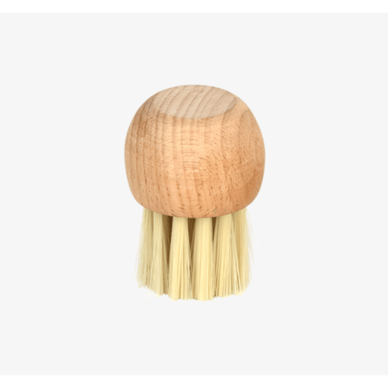 Brosse à champignons en bois