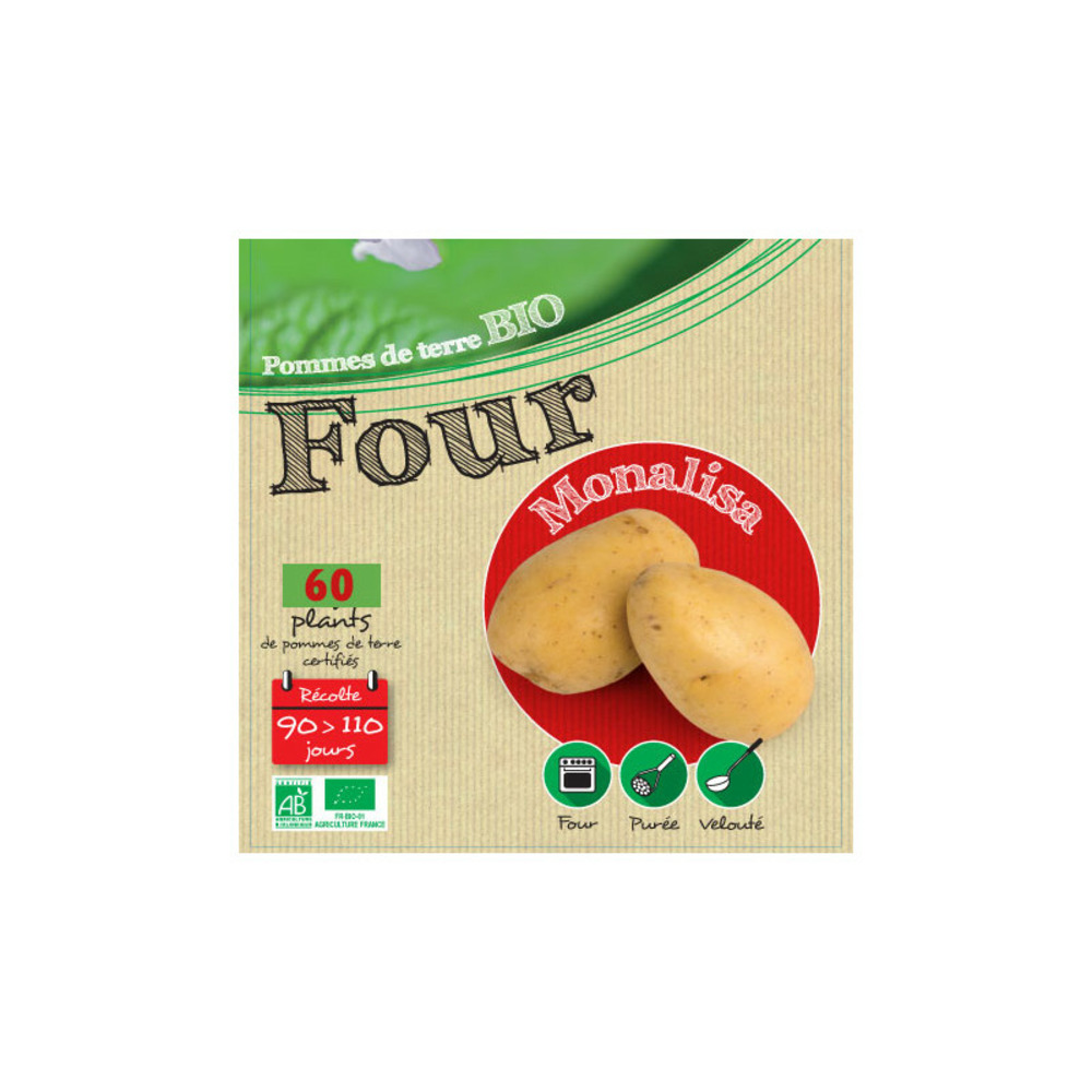 Monalisa biologique 60 plants de pomme de terre