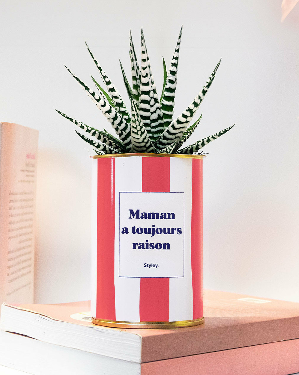 Plante à message - maman a toujours raison - cactus