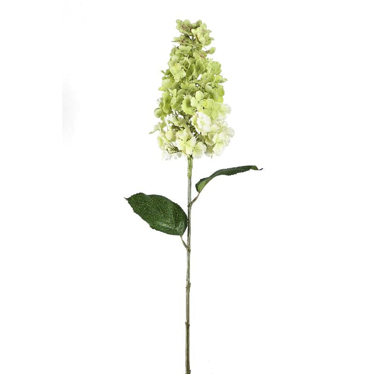 Ptmd fleur artificielle hortensia - 44x26x86 cm - plastique - vert