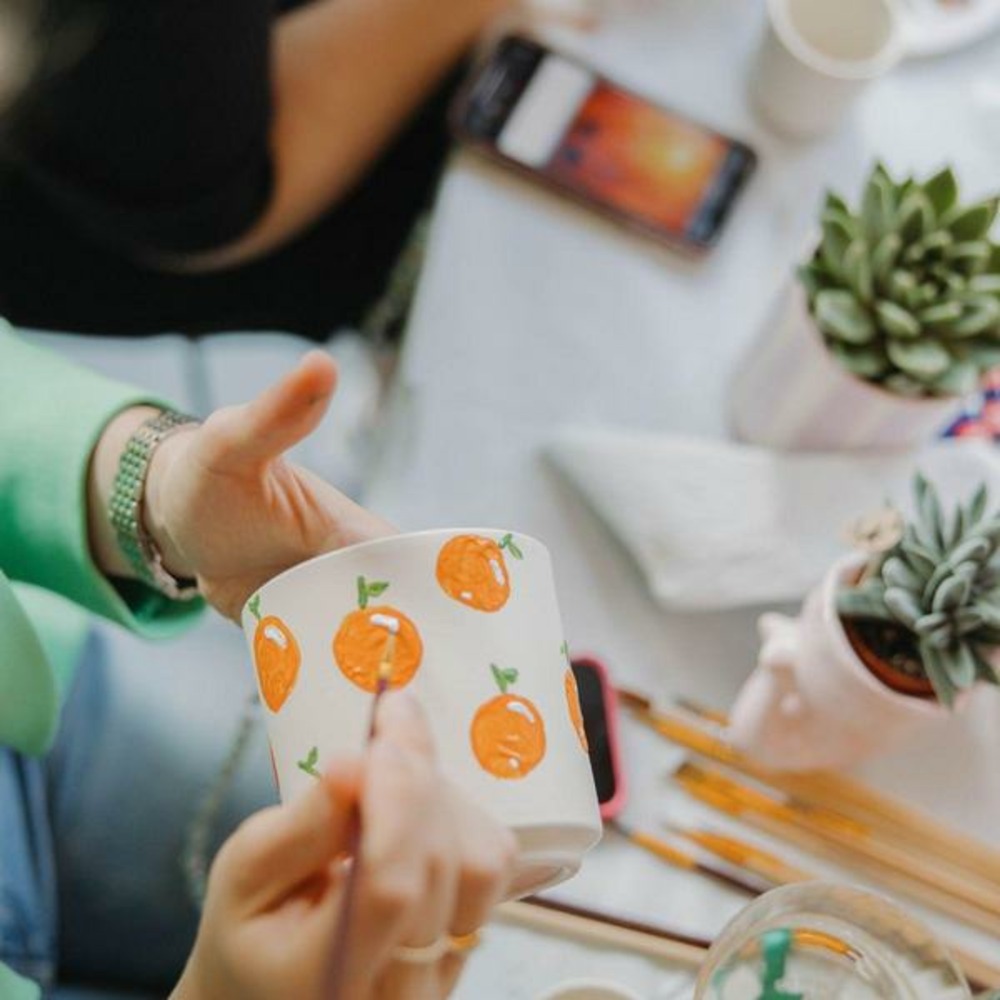 Coffret créatif débutant 4 succulentes