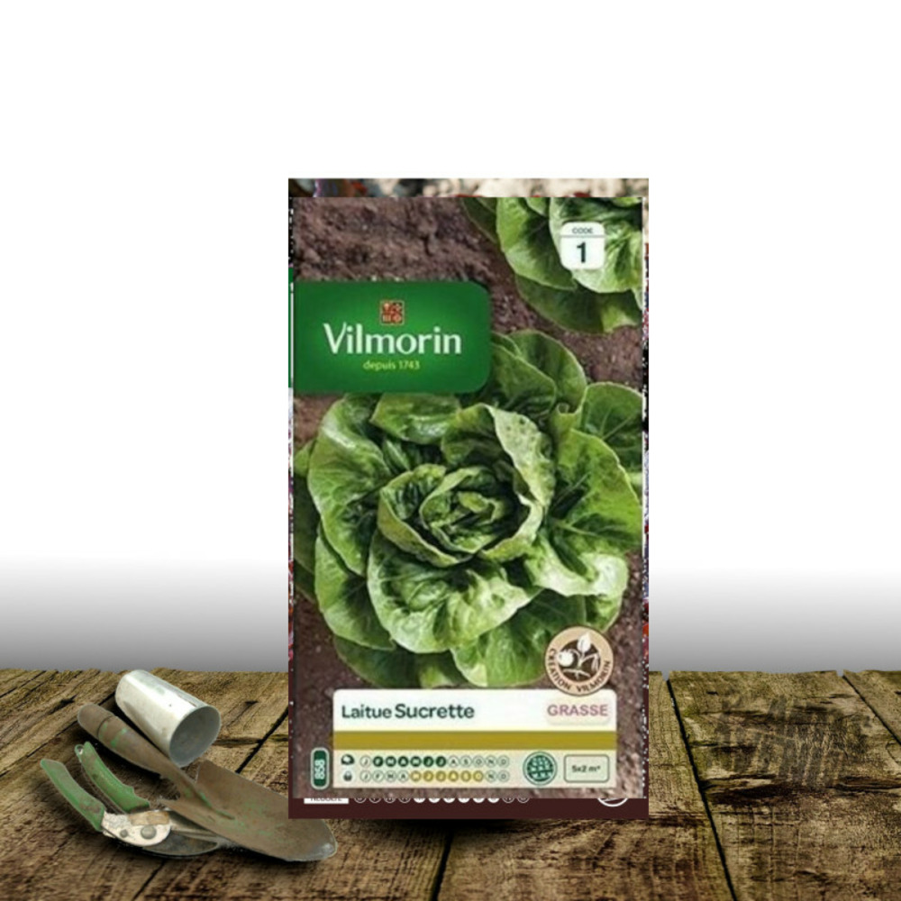 Graines de laitue grasse sucrette - vilmorin sachet