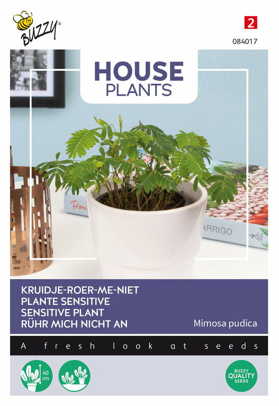 Buzzy house plants mimosa pudica - ca. 0,2 gr (livraison gratuite)