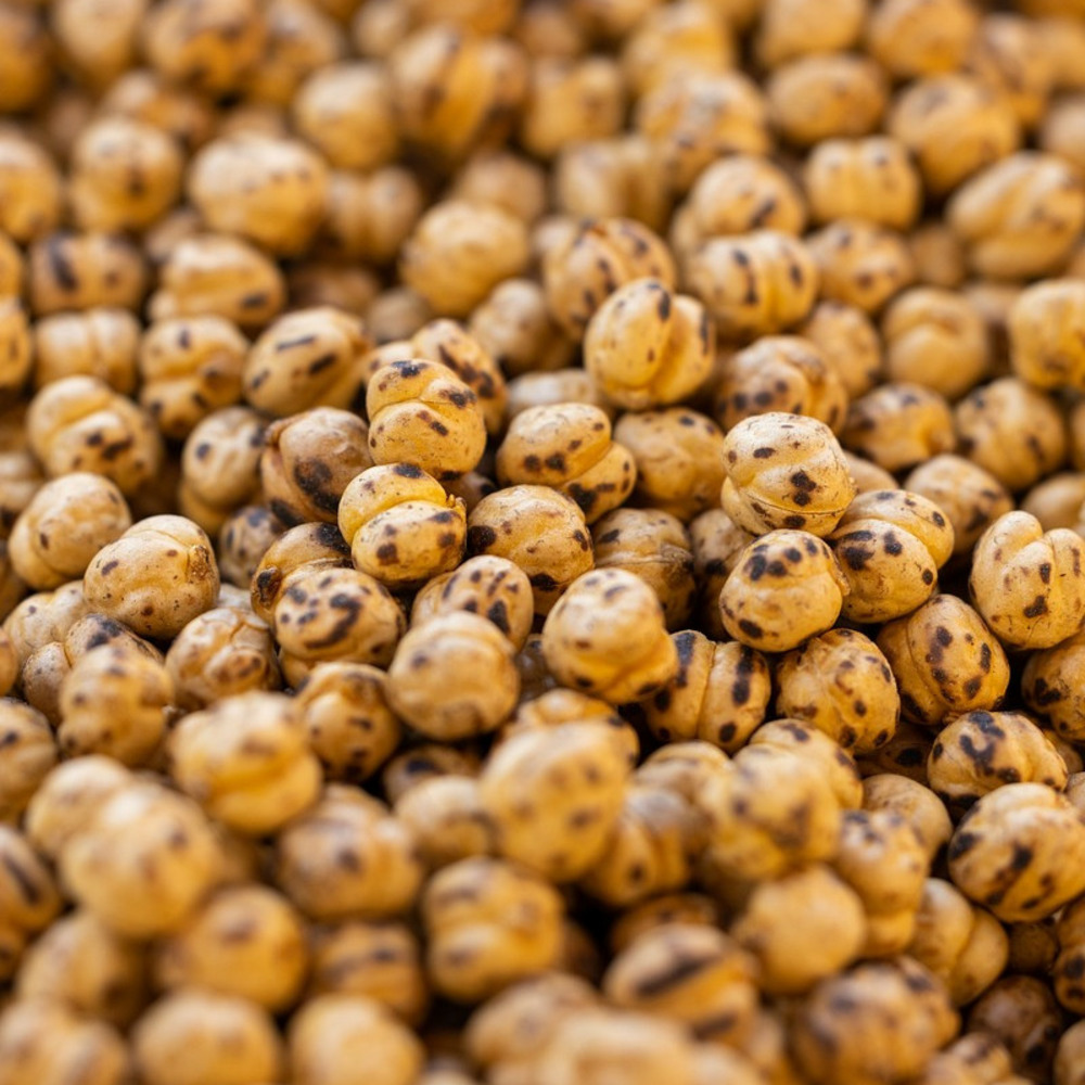 Graines de pois chiche twist - vilmorin sachet - 10 mètres