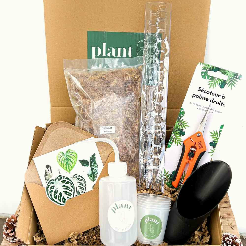 Coffret complet bouturage - coffret à offrir ou pour se faire plaisir