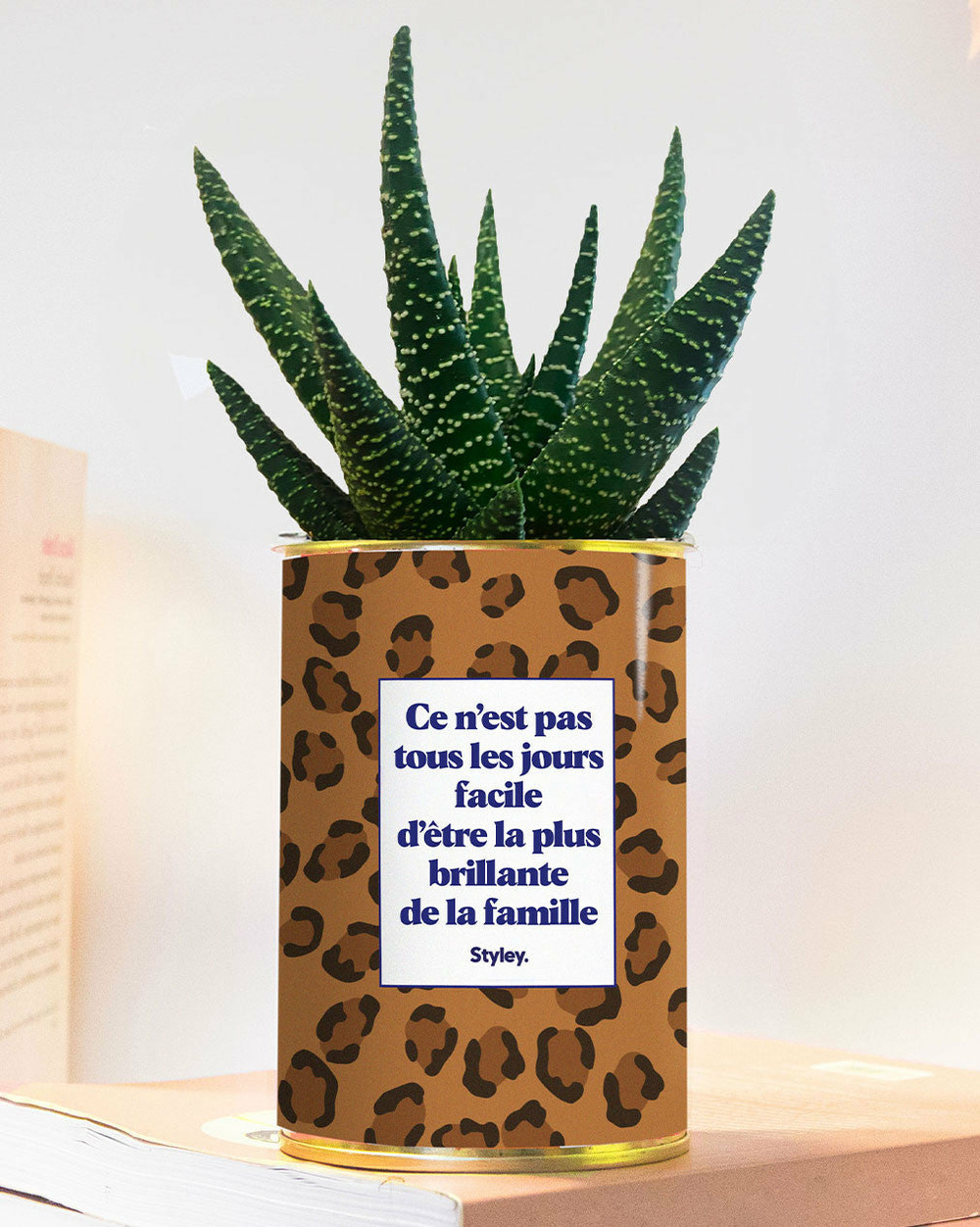 Plante personnalisée - ce n'est pas tous les jours facile d'être la plus brillante de la famille - plante grasse