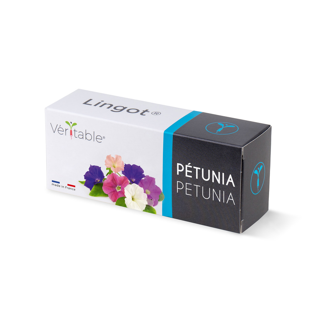 Lingot pétunia - recharge prête à l'emploi