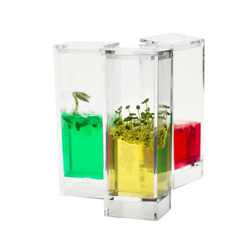 Kit plantarium