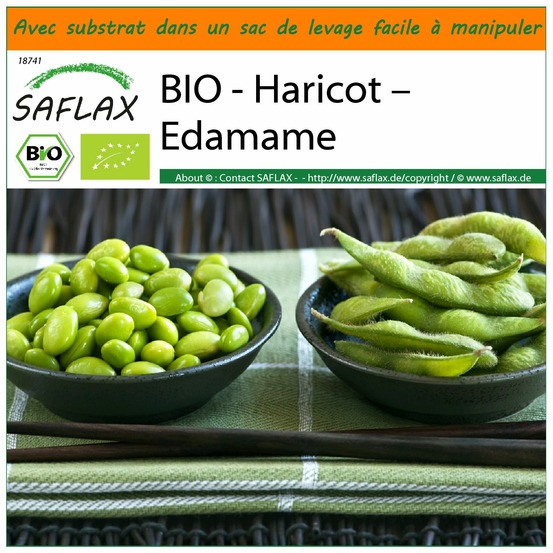 Garden in the bag - bio - haricot – edamame - 8 graines - glycine max (l.) merr.