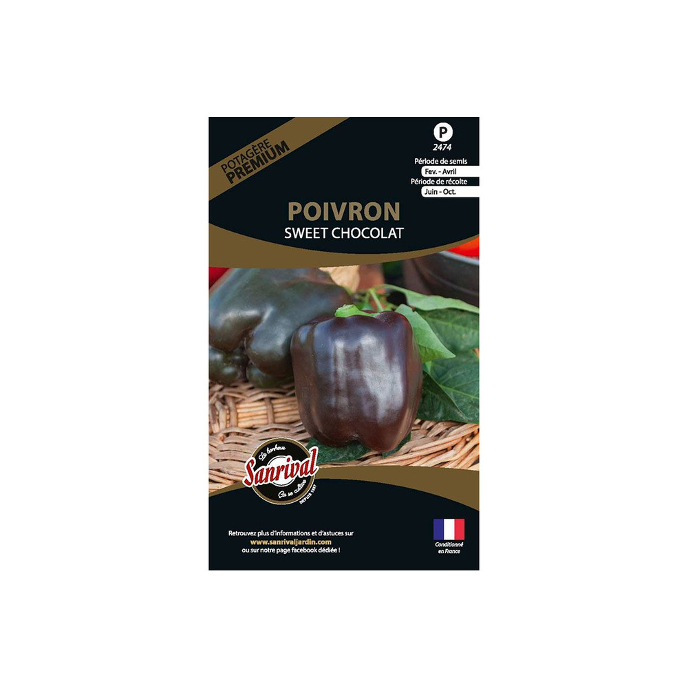 Graines potagères premium poivron chocolat