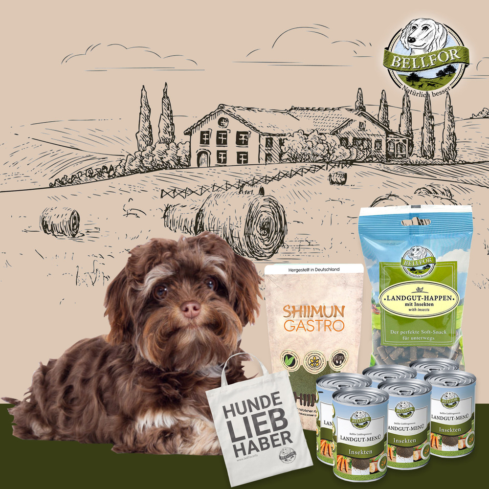 Set d'alimentation pour petits chiens ayant des problèmes digestifs