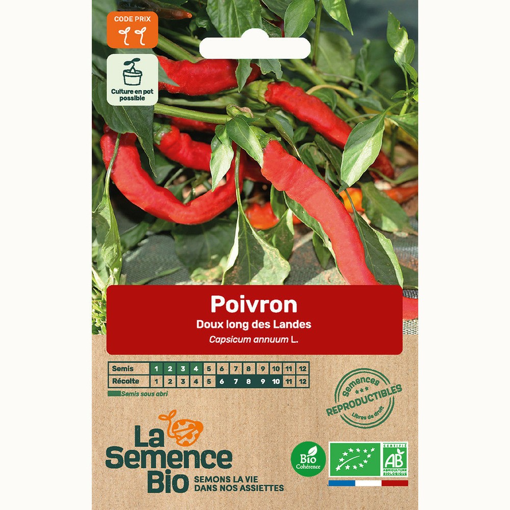 Poivron doux long des landes - graines bio
