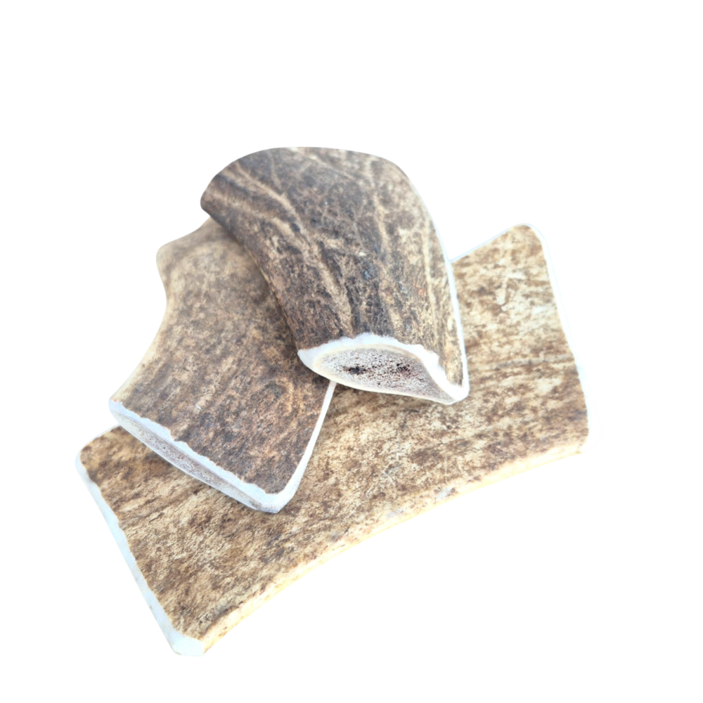 France croquettes bois de daim l 2x <101/150g