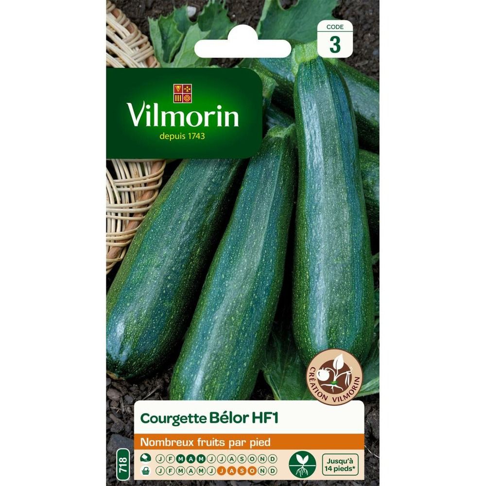 Sachet graines courgette belor hf1