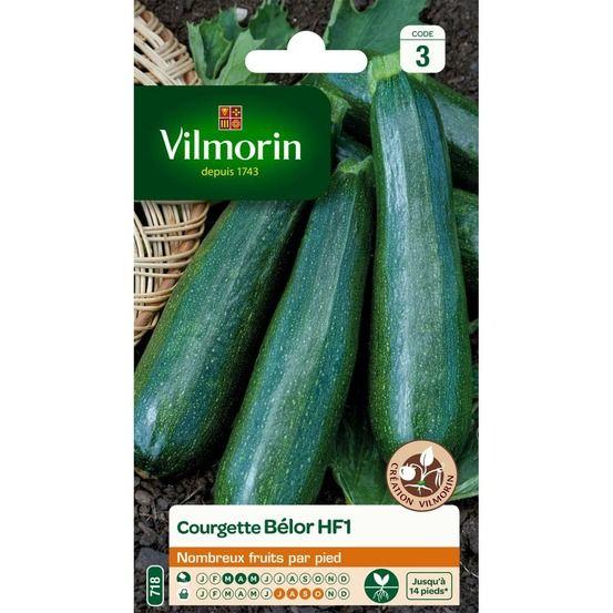 Sachet graines courgette belor hf1