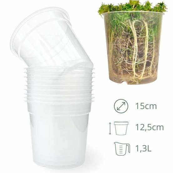Lot x10 pots transparents - pot de 15cm - pots seuls