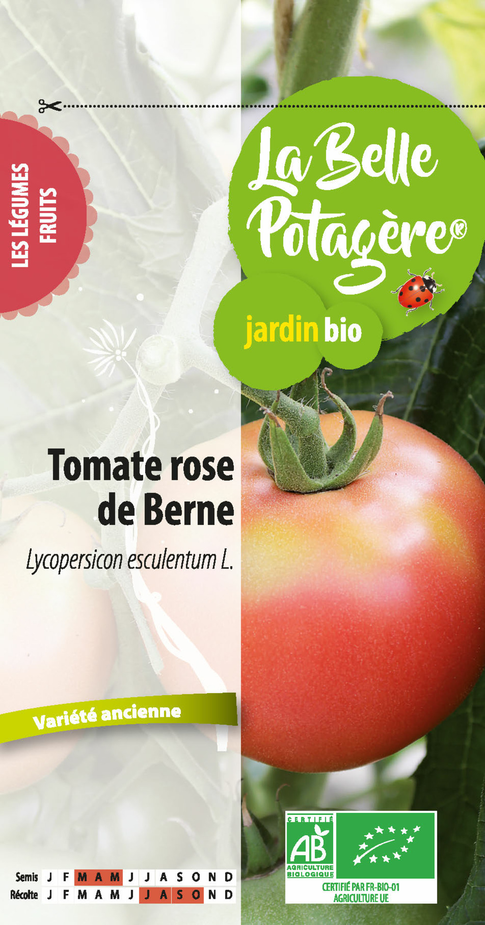 Tomate rose de berne 0,15 g