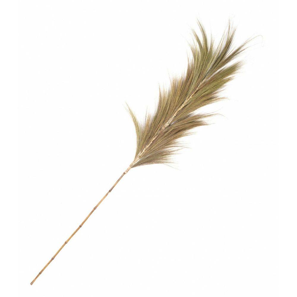 Plume bois marron - décoration d'autrefois