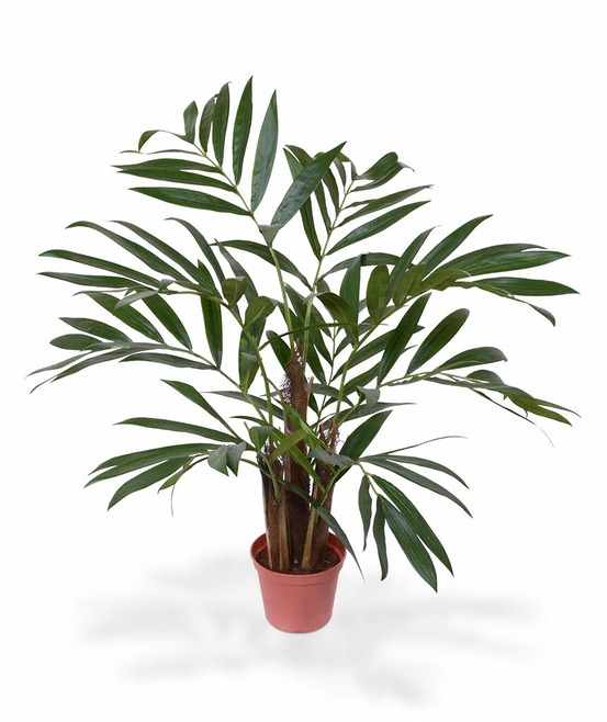 Palmier de chamaedoria artificielle 65cm