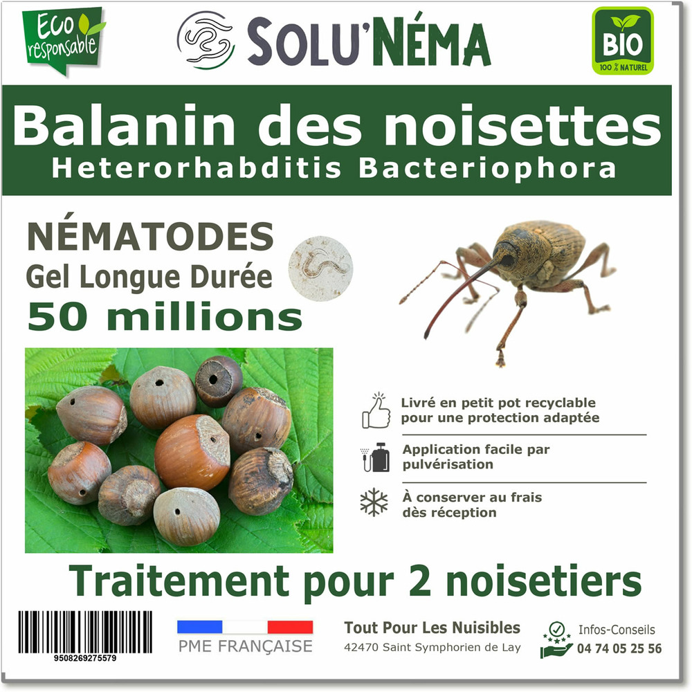 Solunéma - Balanin des noisettes- Nématodes Heterorhabditis bacteriophora (HB) 50 millions pour 2 noisetiers