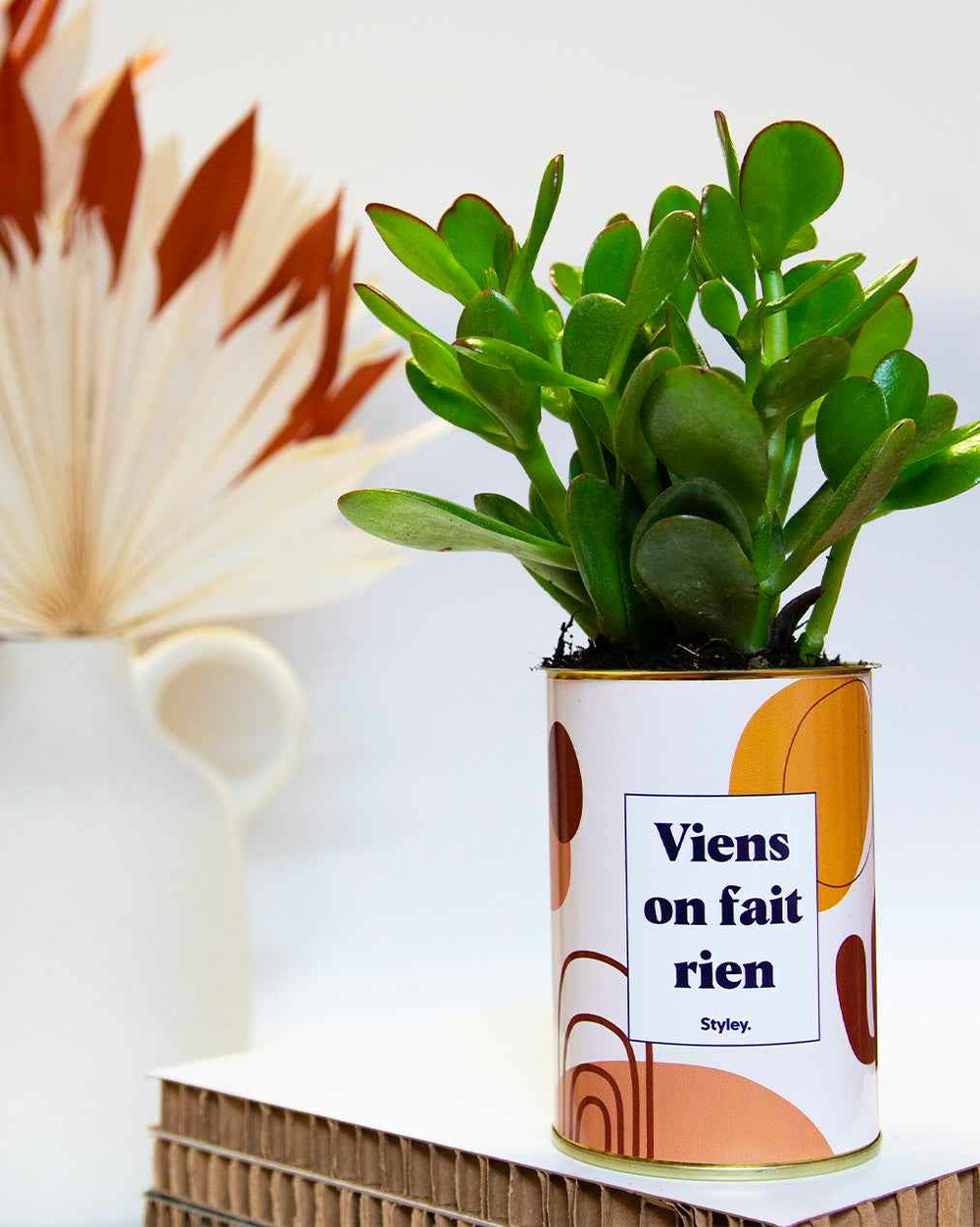 Idée cadeau - viens on fait rien - cactus