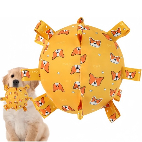 Jouet pour chien balle avec son diamètre 15cm