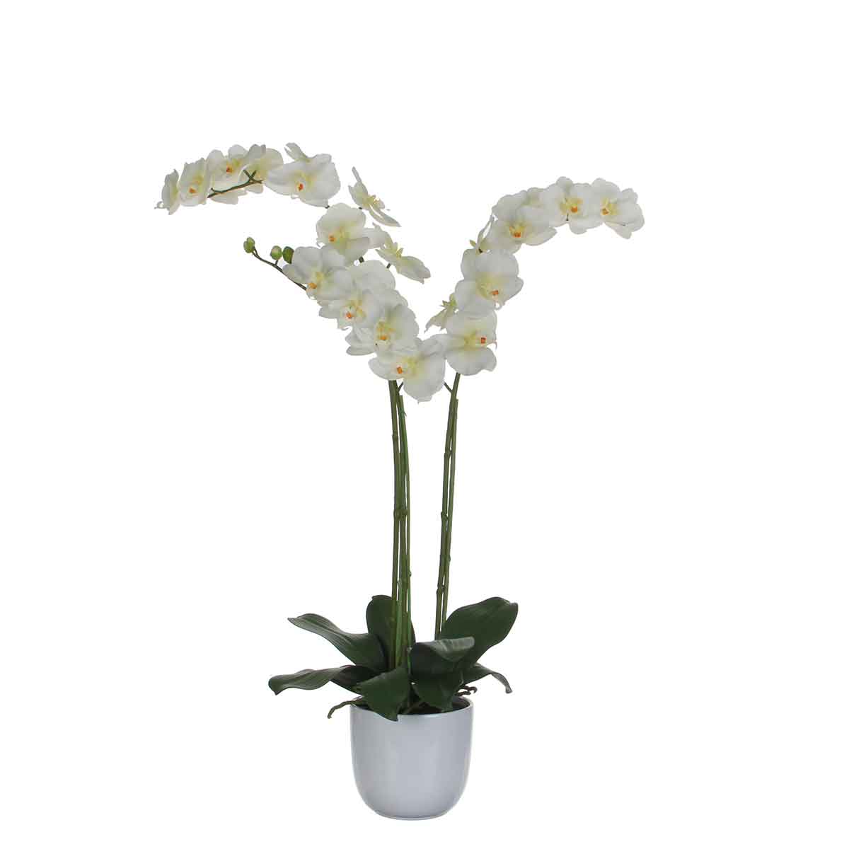 Mica decorations fleur artificielle phalaenopsis - 53x53x100 cm - pe - blanc