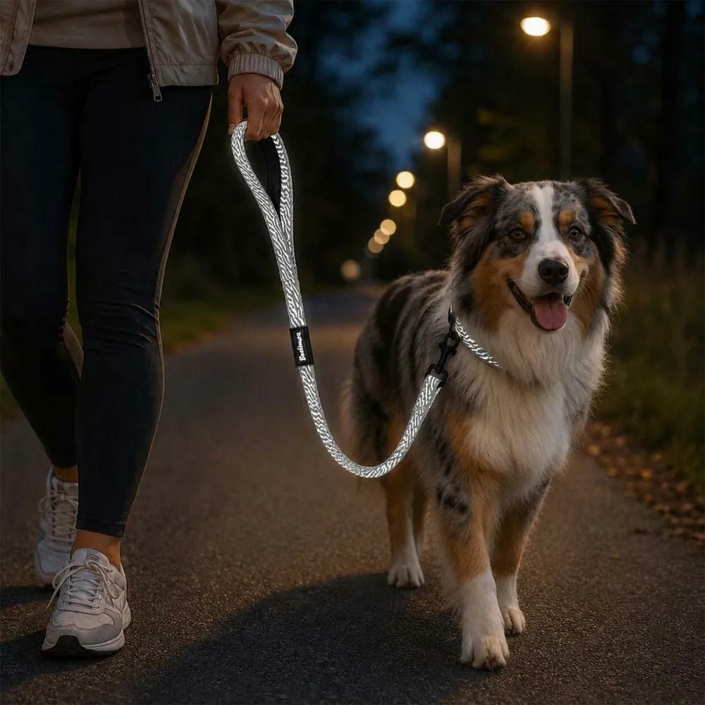 Laisse pour chien avec poignée réfléchissante - gris 100 cm