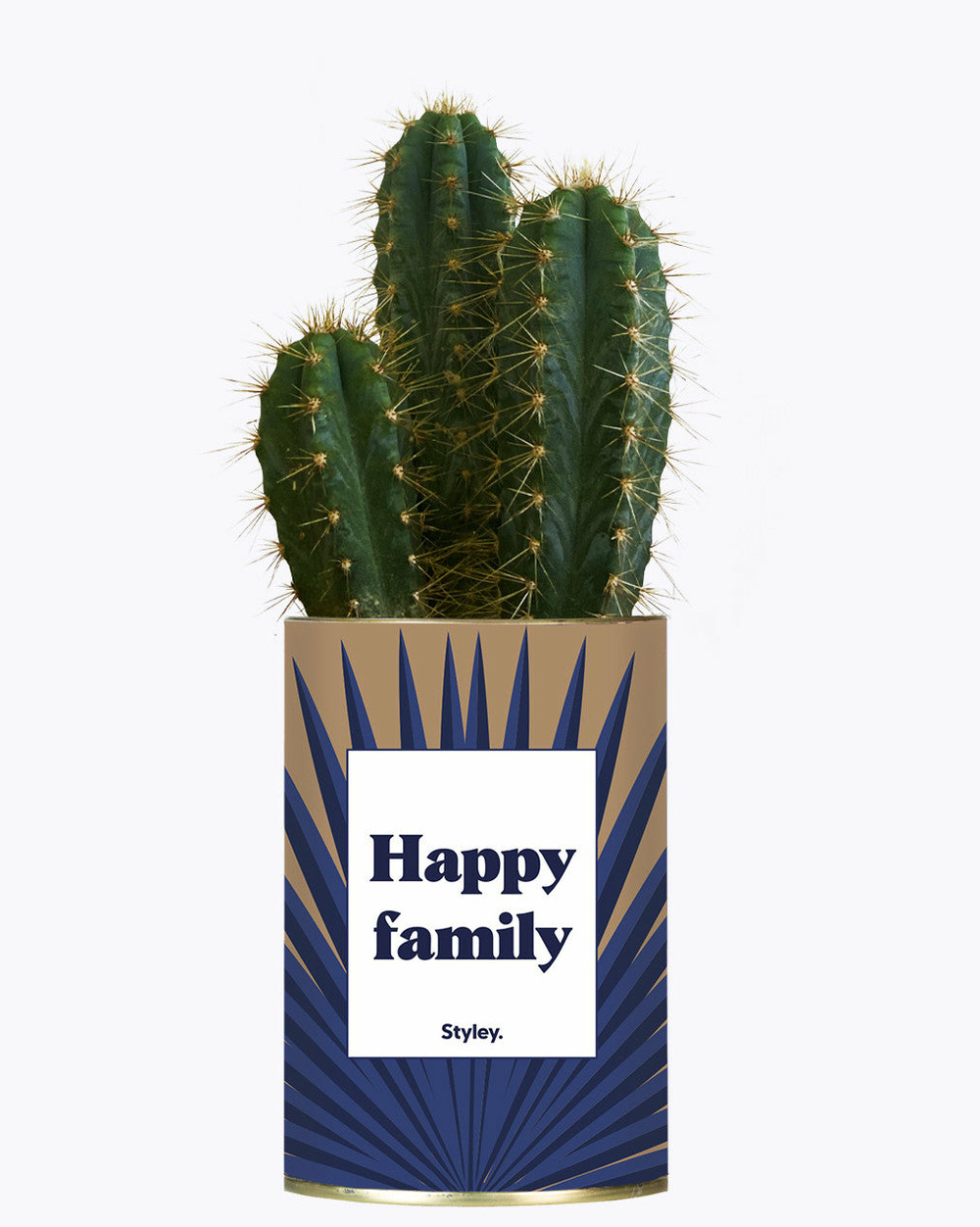 Plante personnalisée - happy family - cactus
