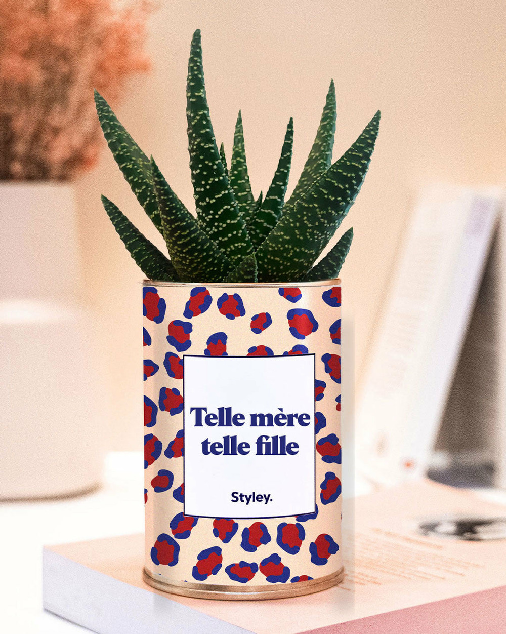 Plante facile à entretenir - telle mère telle fille - plante grasse