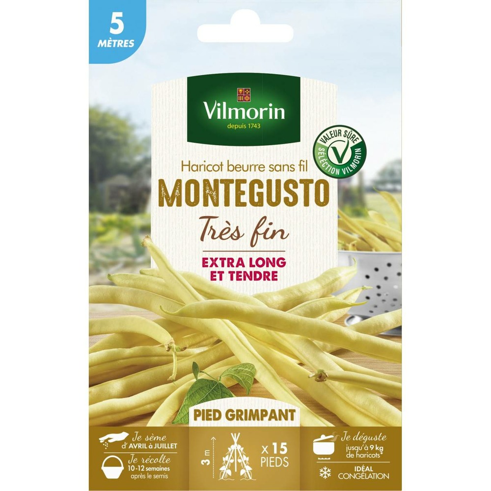 Graines de haricot beurre sans fil montegusto très fin - 5 mètres