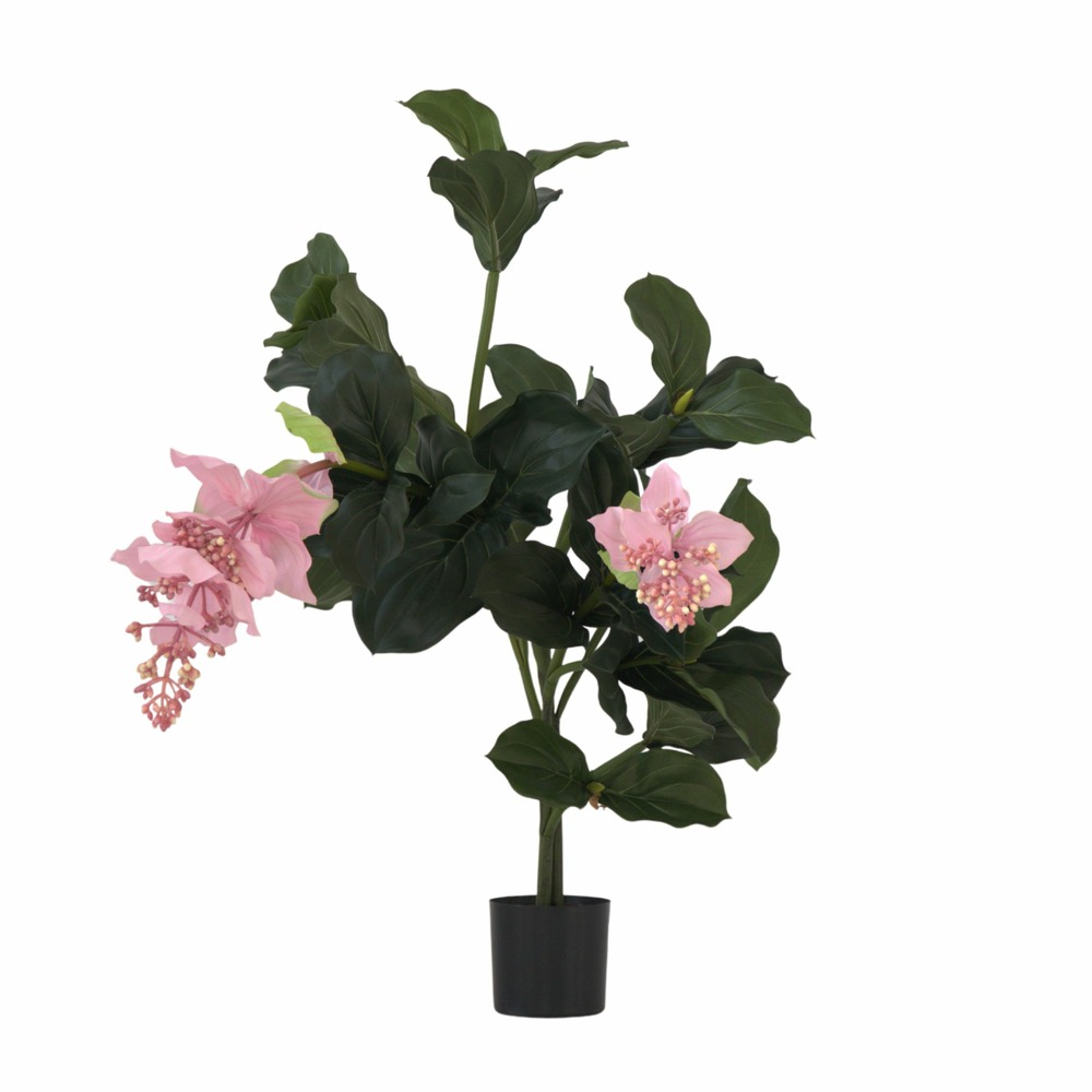 Medinilla magnifica artificielle - hauteur 85cm